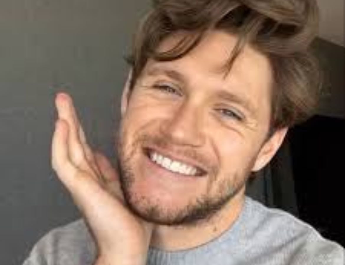 My fav niall songs 馃馃徎 - Music hypelist by 饾悑饾悶饾惐饾悽饾悶 饾悋饾惃饾惈饾悮饾惂!