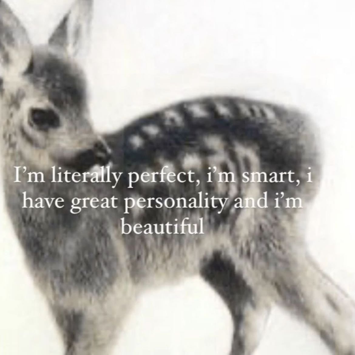 🪽 - “soy literalmente perfectx, soy inteligente, tengo una gran personalidad y soy hermosx”