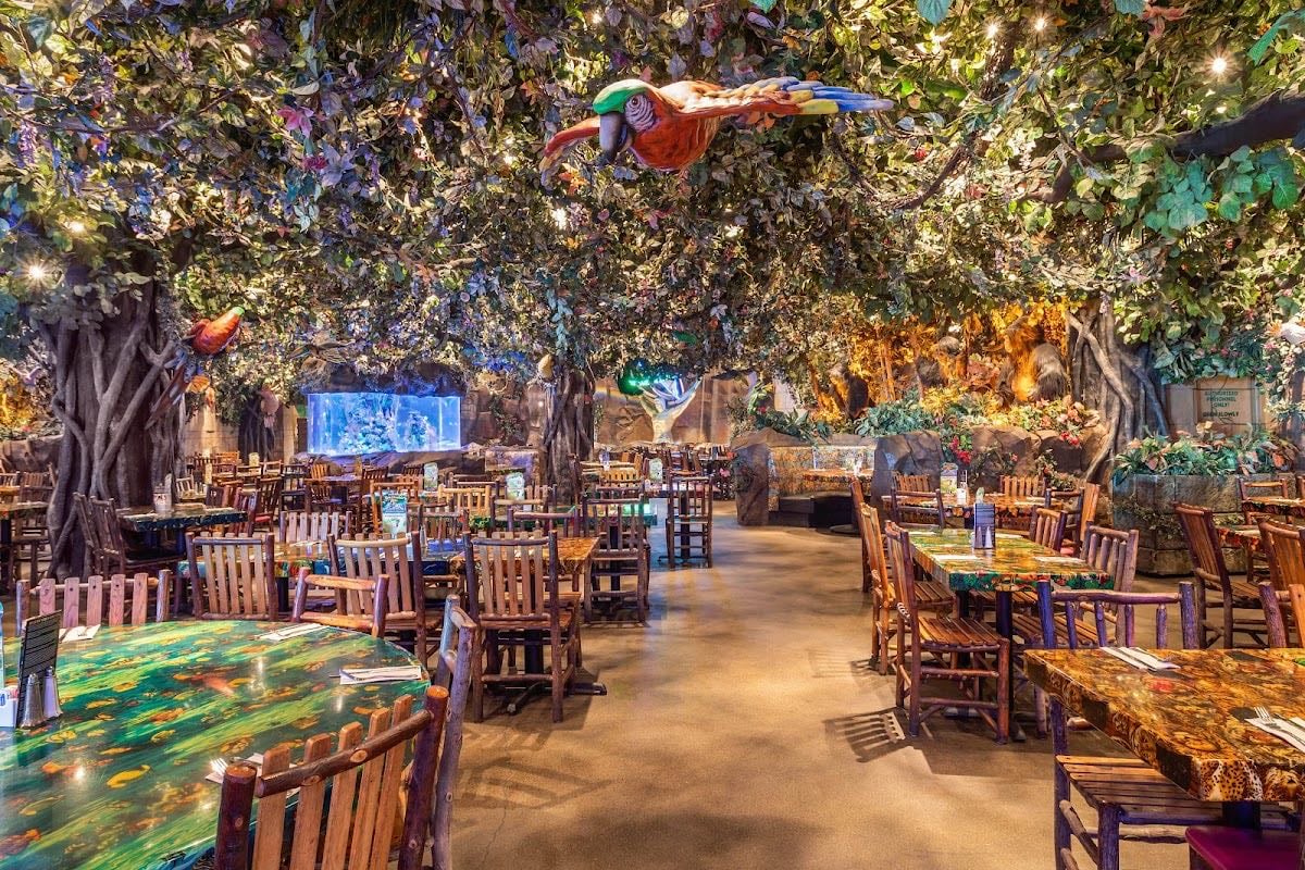 Rainforest Cafe - shit food / great experience