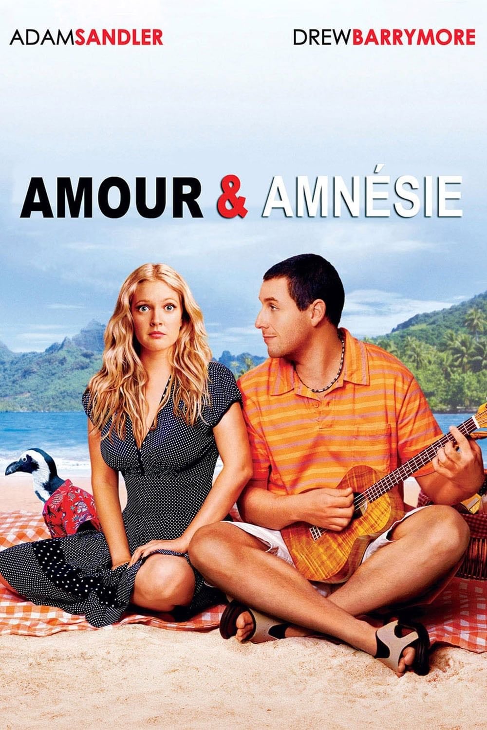 Amour & Amnésie - Peter Segal · 2004