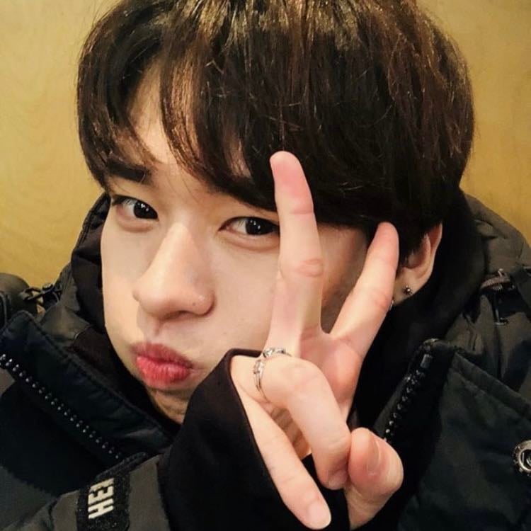 SEX DOLL - Cuenta de autor @bxnghxn