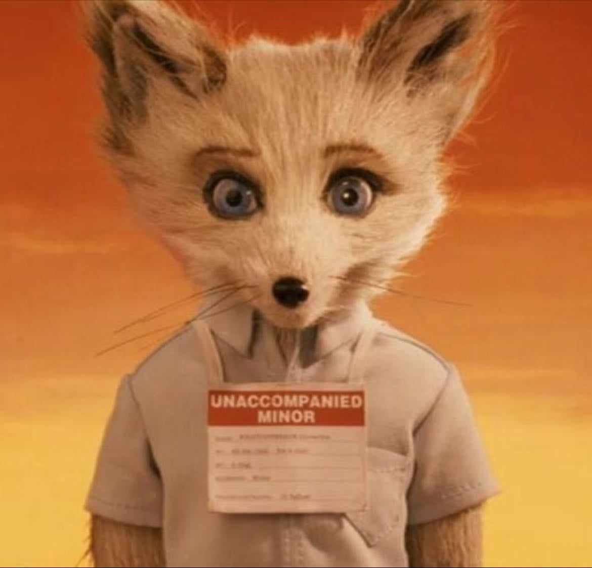 Kristofferson Silverfox - Mr Fantastic Fox