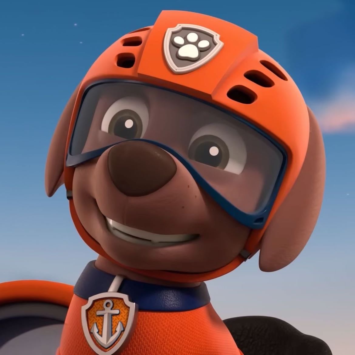 Zuma - Paw Patrol