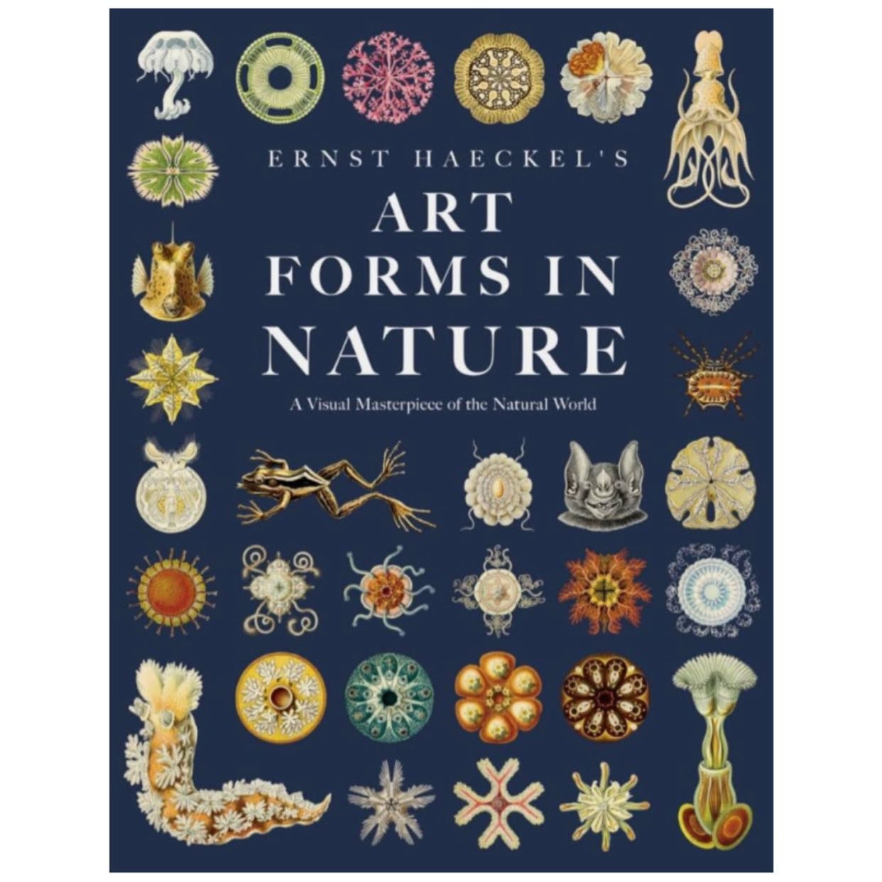 Art forms in nature - Art