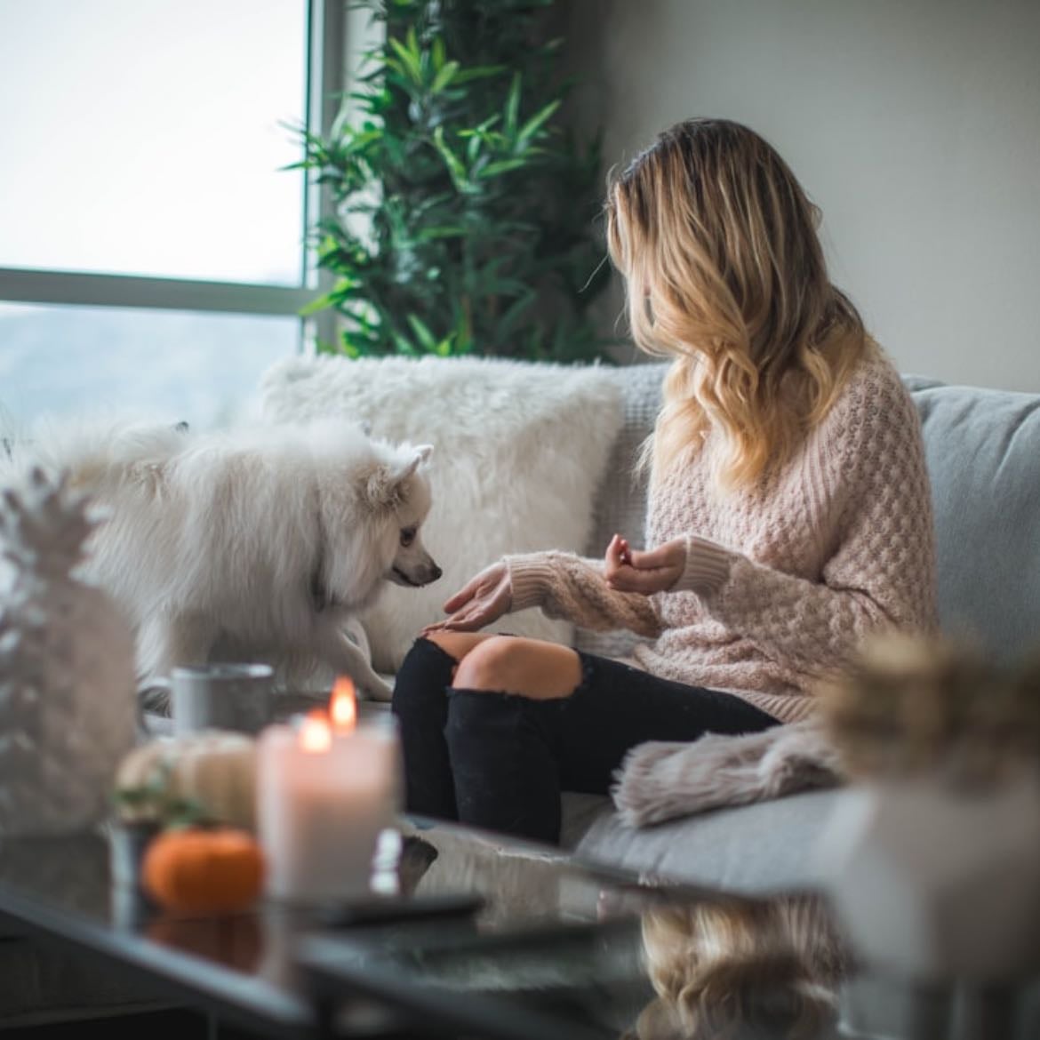 Avoid overwhelming weekends - Spending one day a week at home is very beneficial for recharging. Saturdays out (outings, spending time with family and friends, night out) Sundays in (home cooked meals, movies, house cleaning, guilt-free relaxing, long baths, home workout, Reading books)