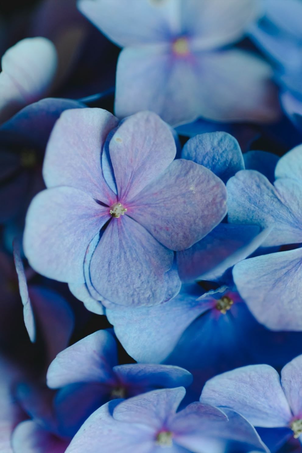 Beautiful colors