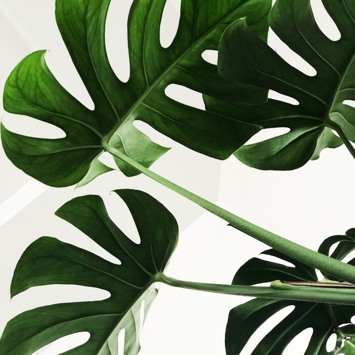 Declutter your place regulary - Minimalism, capsule wardrobe, simplicity. Start lightly with “Marie Kondo” then once you’re in the groove, try reading “Fumio Sasaki” for a deeper declutter.