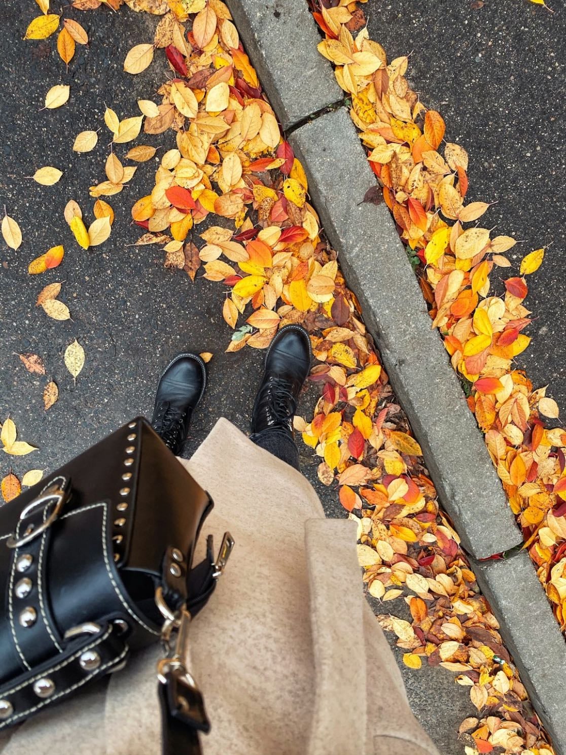 Fall fashion