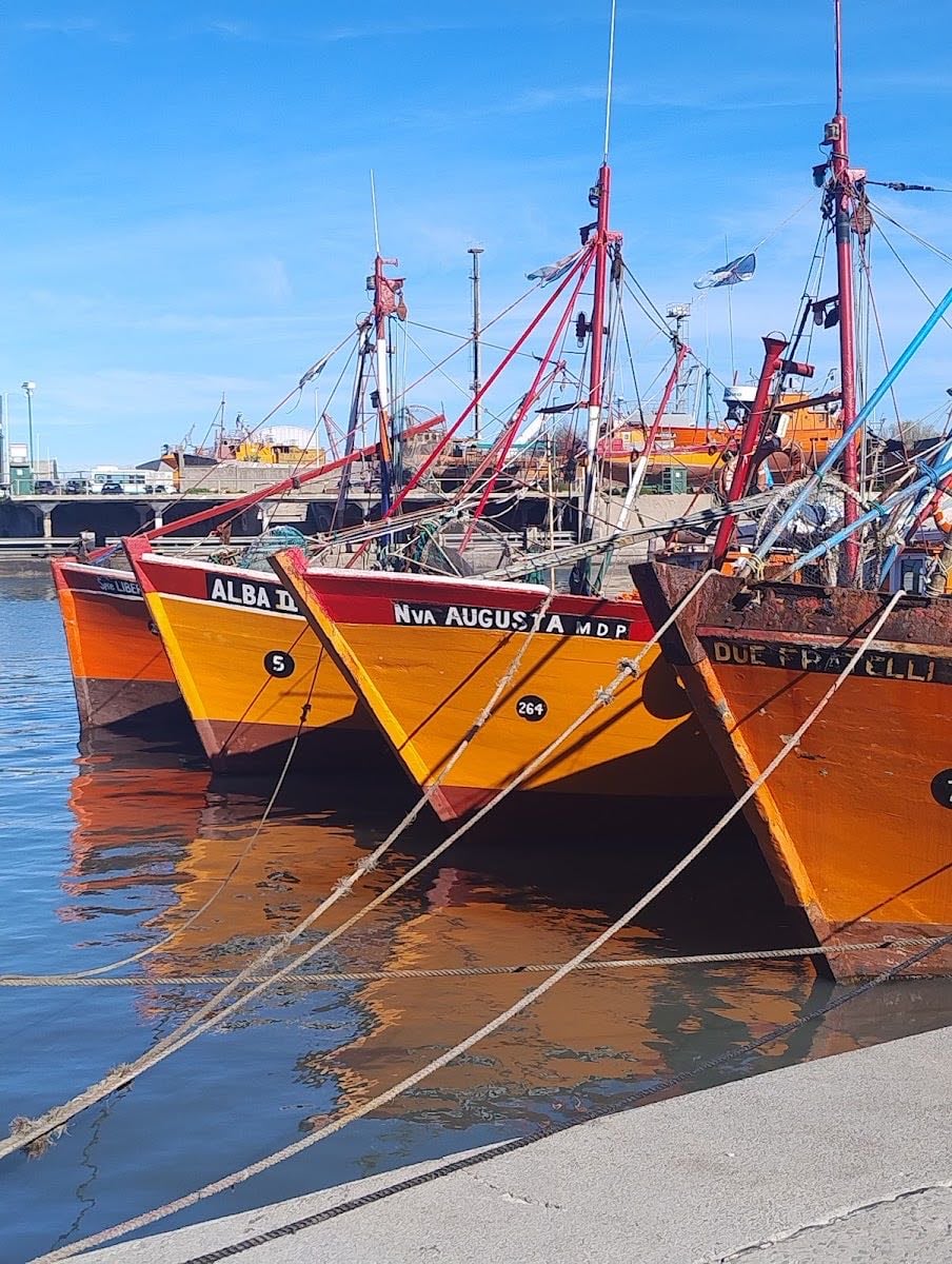 Puerto mar del plata