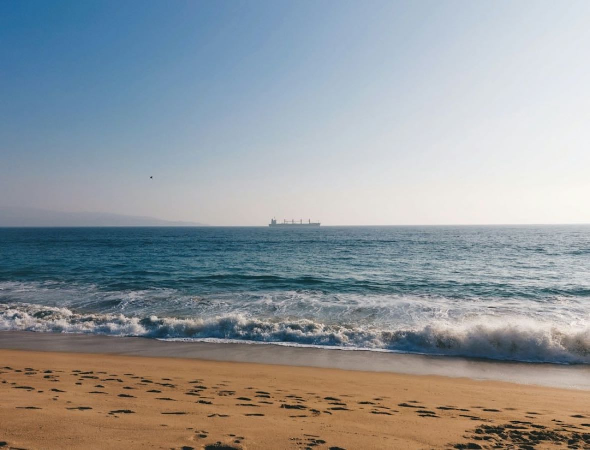 Viña del Mar | Valparaiso