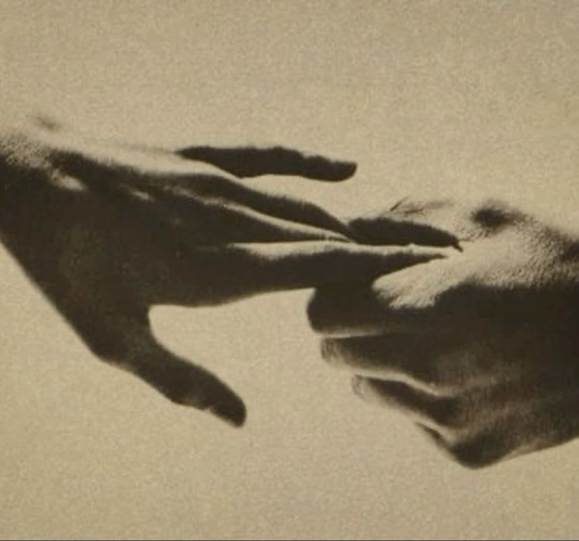 soul crushing media - other hypelist by 𝙴𝚕𝚕𝚎𝚗 𝙱
