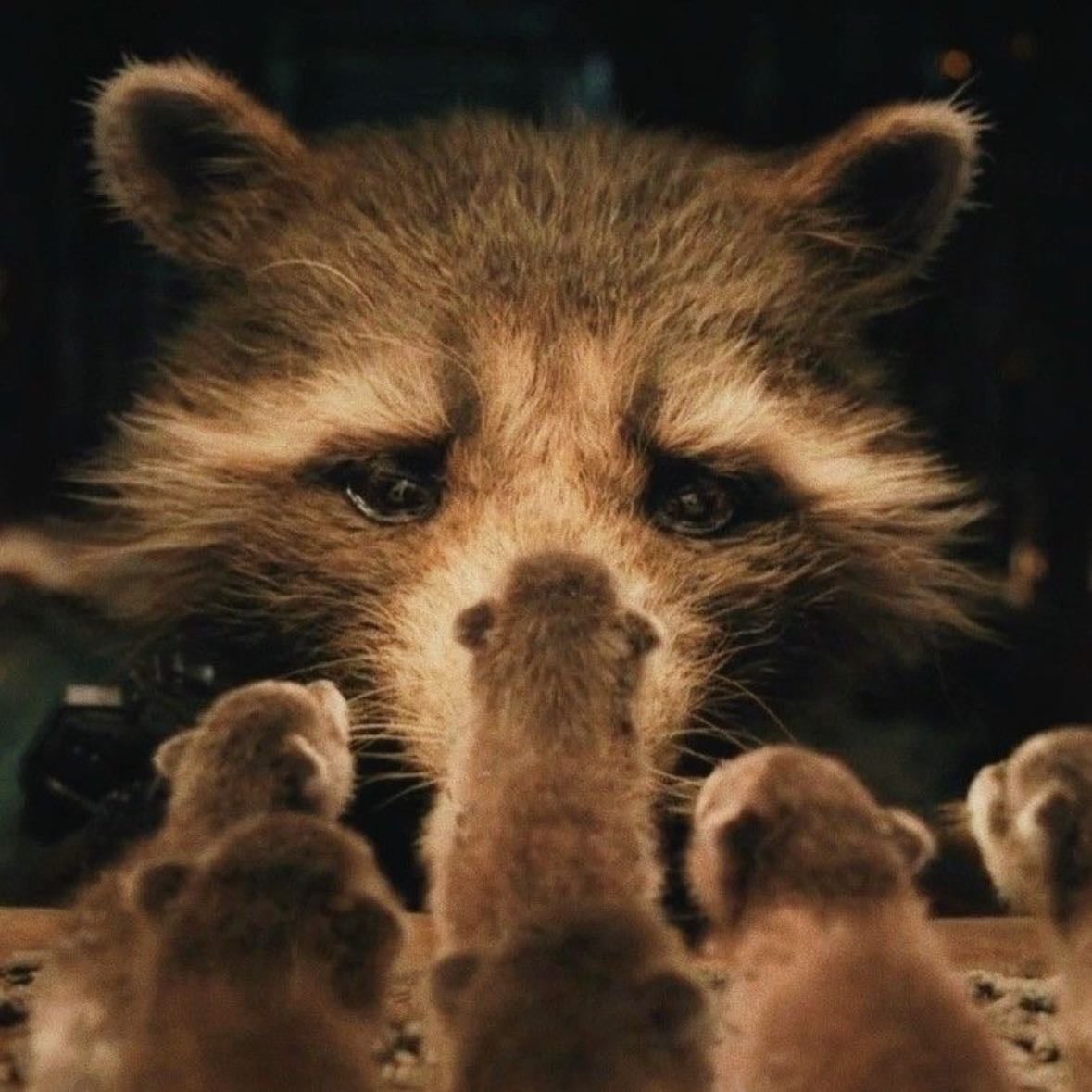 Guardians of the Galaxy Vol. 3 - James Gunn · 2023