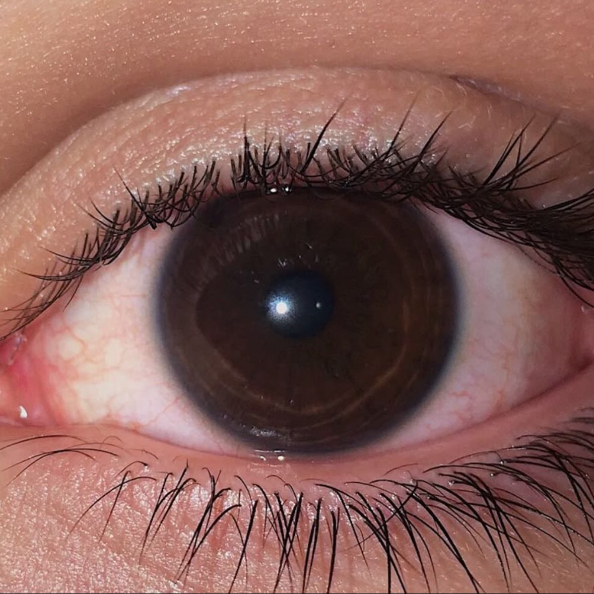 dark eyes - i hated not having blue eyes (like my brothers) when i was younger, but now theyβre one of my favourite features. iβve come to realise i just hated being the odd one out in my family.