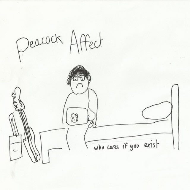Who Cares If You Exist - Song · Peacock Affect