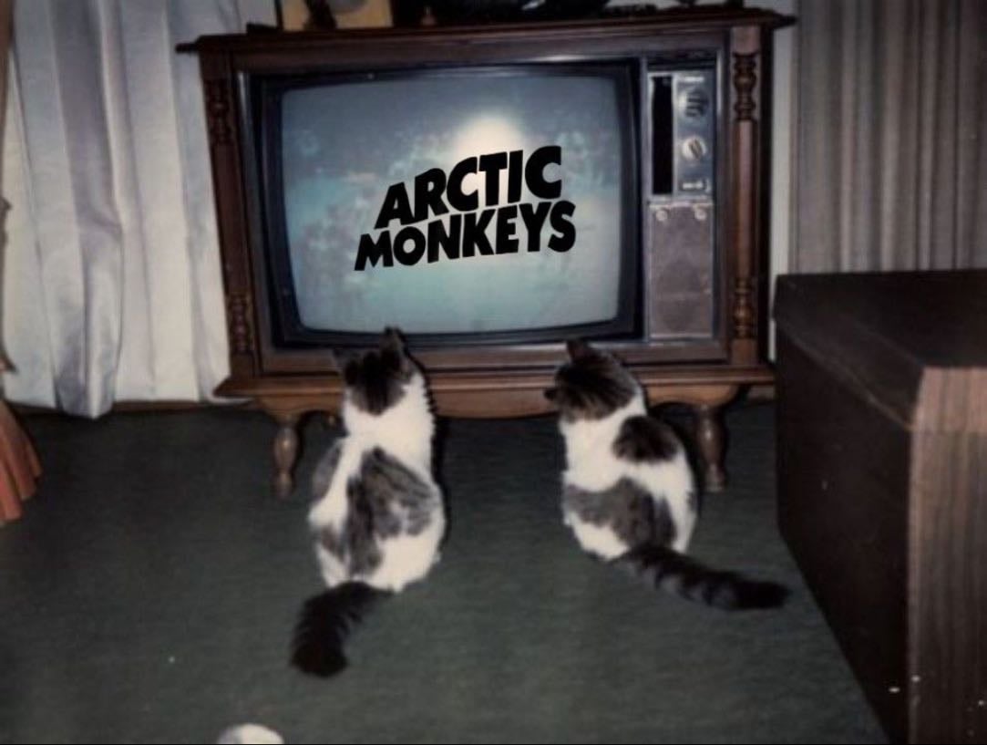 Arctic Monkeys - Artist