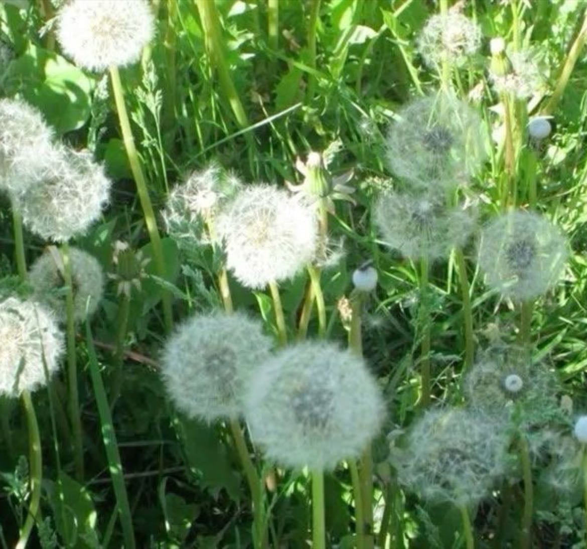 𝘴𝘱𝘳𝘪𝘯𝘨💐🌱