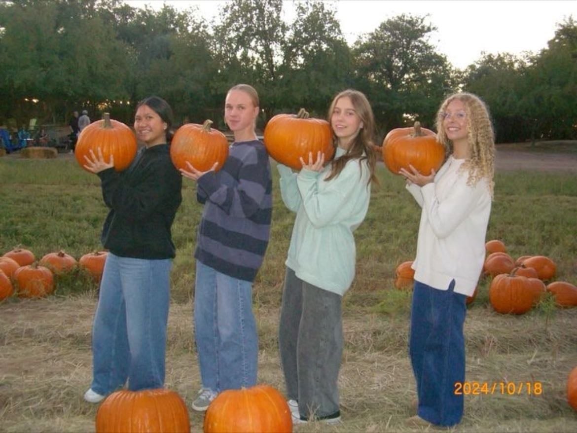 Pumpkin picking ! - ๐