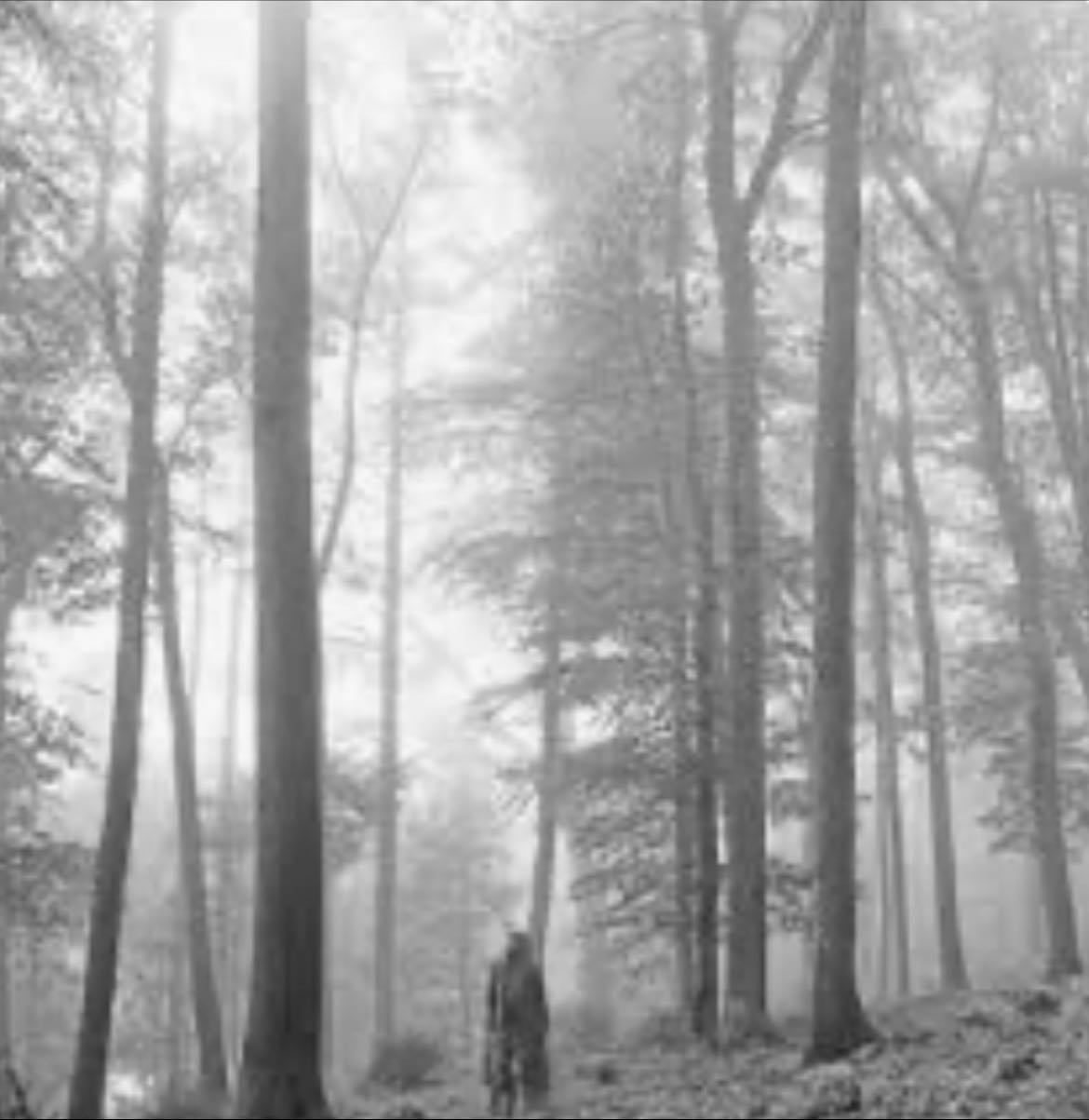 Folklore - Taylor Swift- Yes I consider folklore to be a mostly autumn/winter album and what