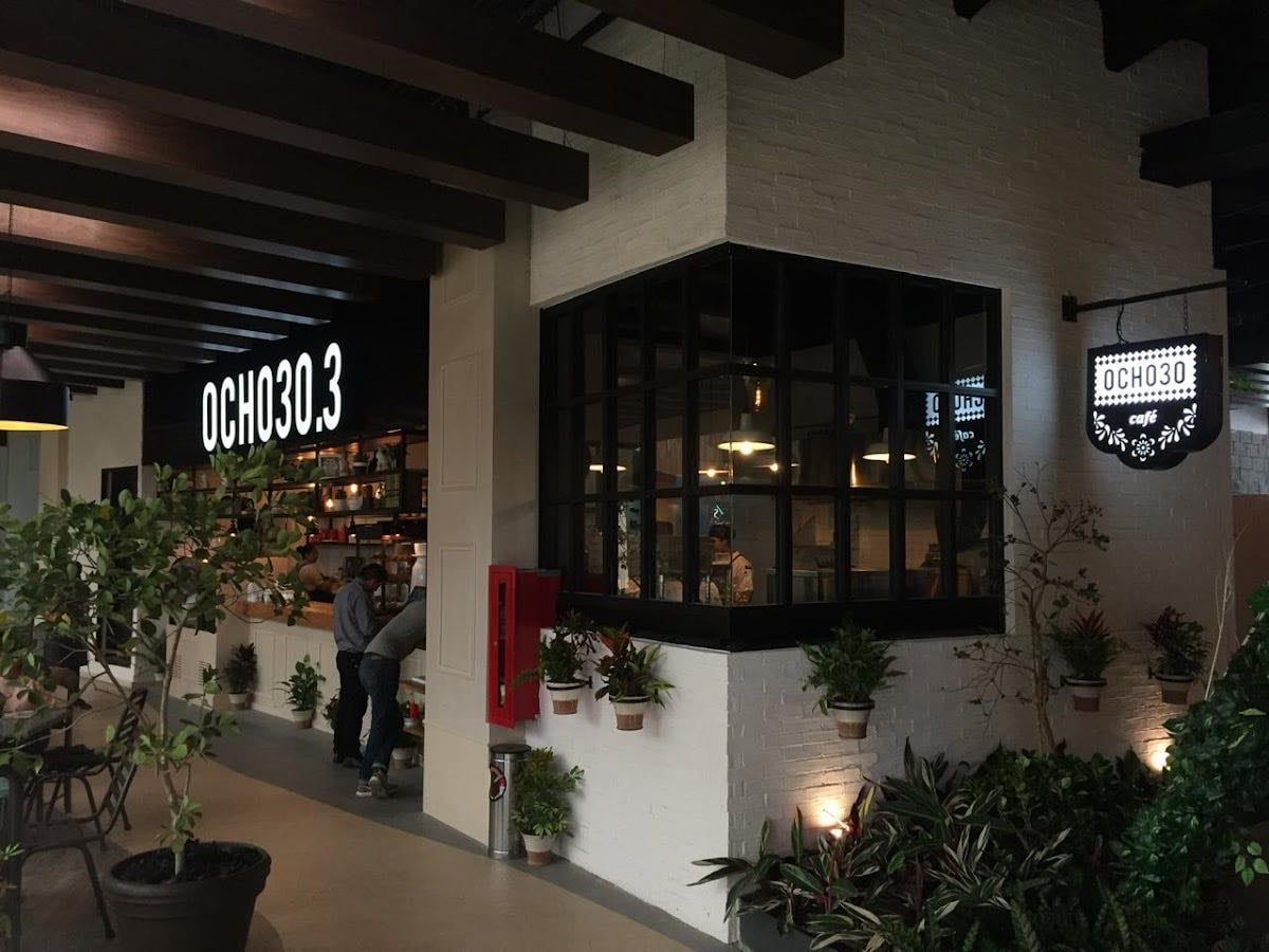 OCHO30.3 Solesta