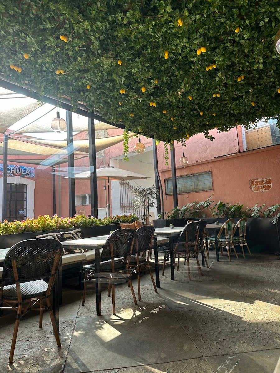 Amalia Cholula