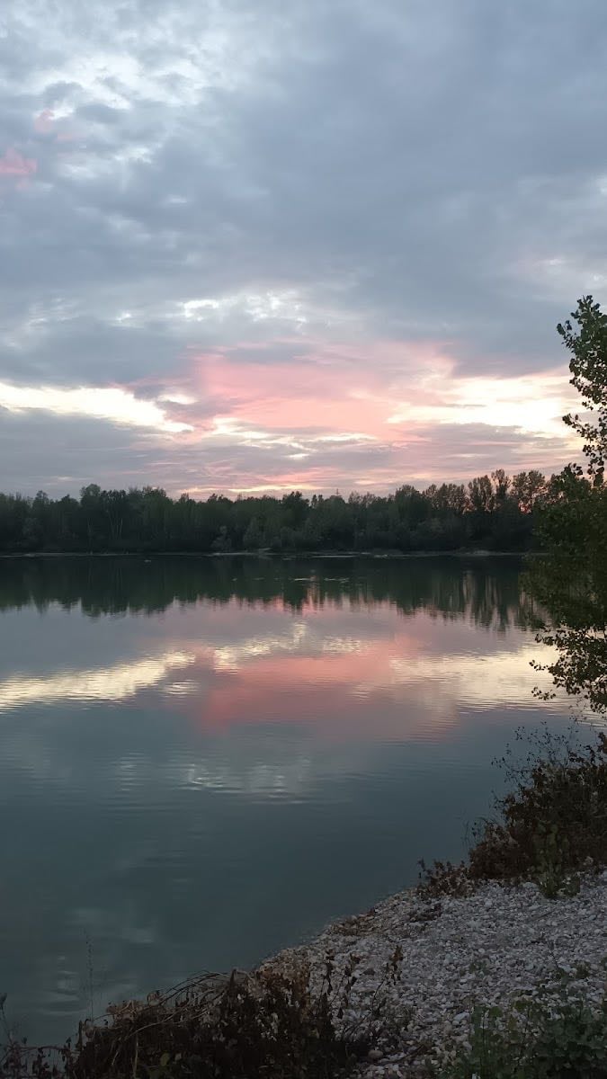 Rakitje