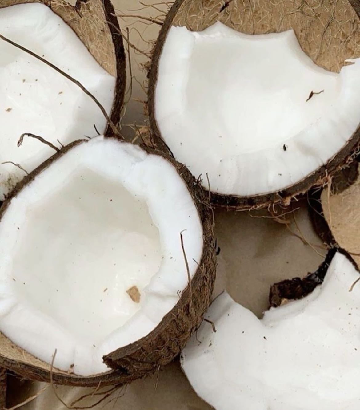 coconut