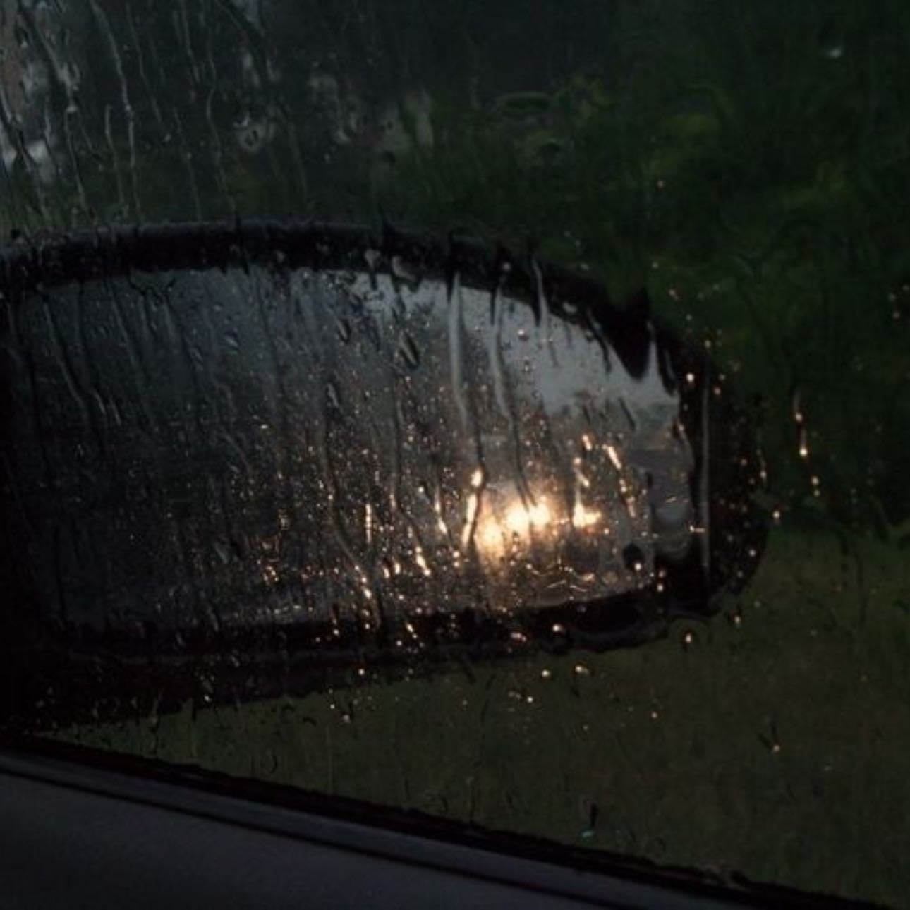 Petrichor - The smell of earth after rain