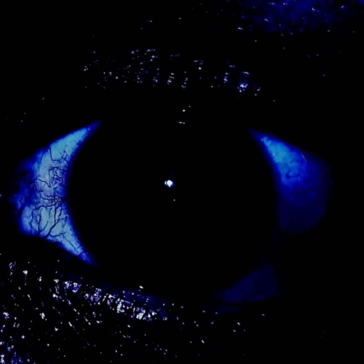 SJC - Artist