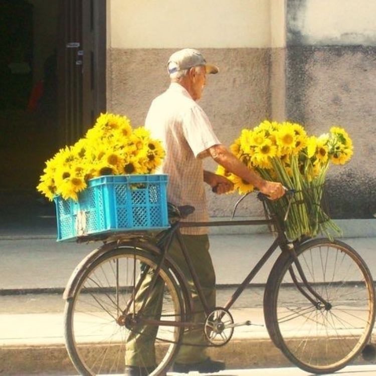“aveces uno no obtiene lo que quiere porque nos espera algo mejor”
