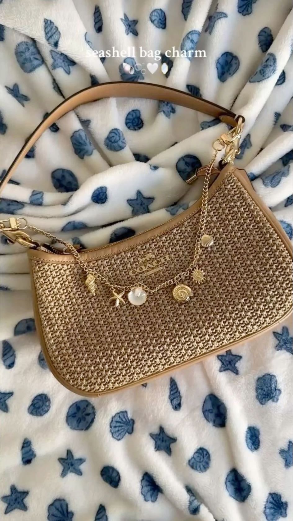 teri shoulder bag coach