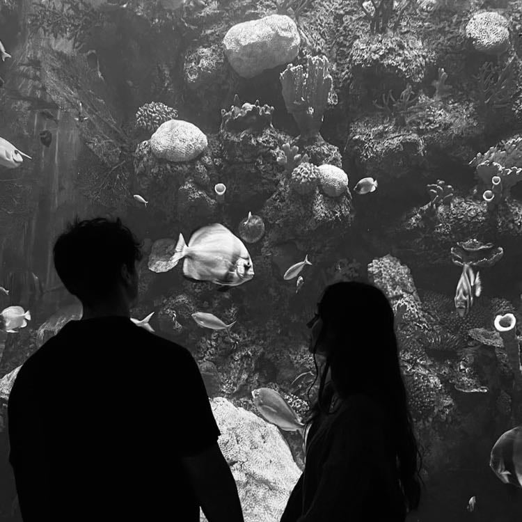 Aquarium date