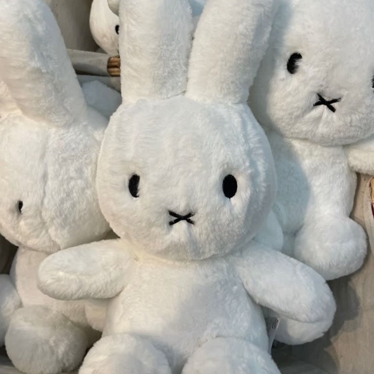 Λ β Plushies
