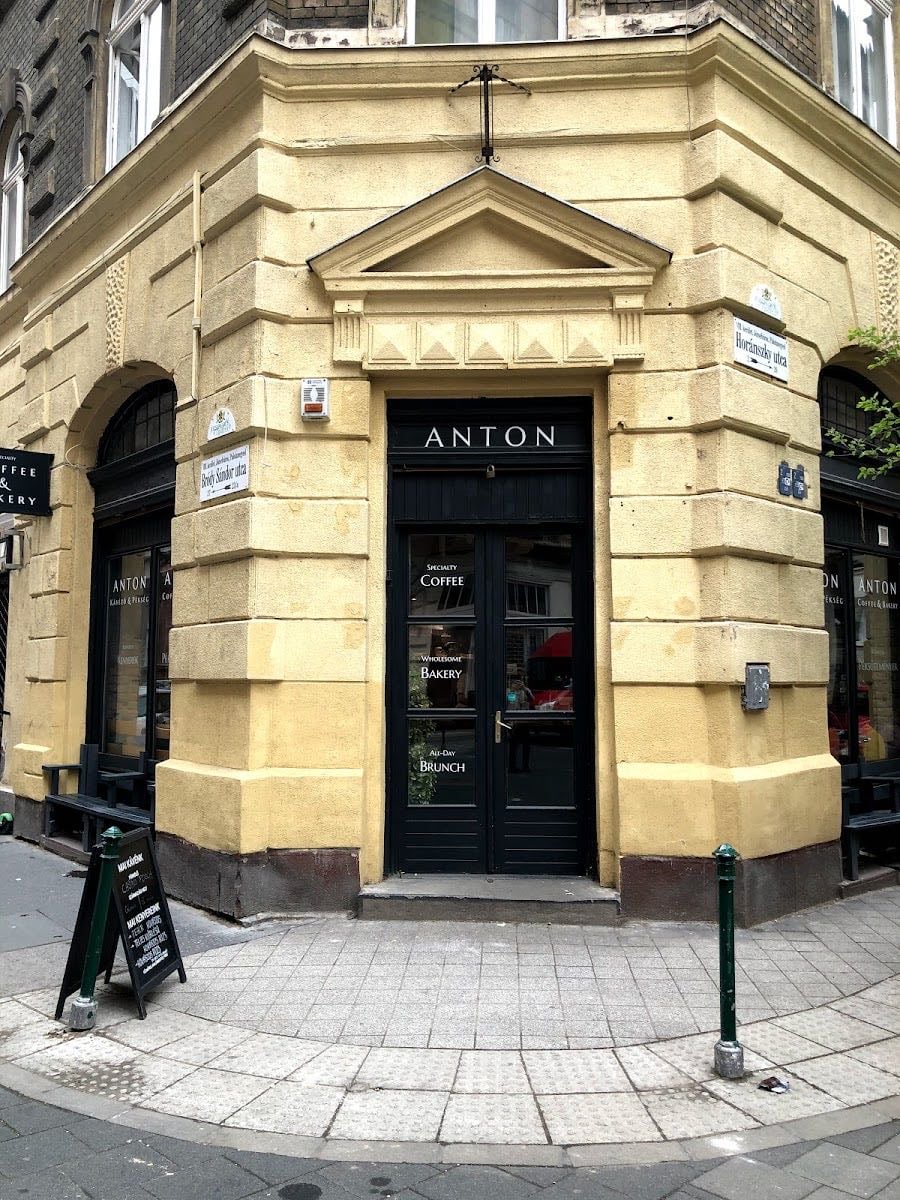 Anton - 💻