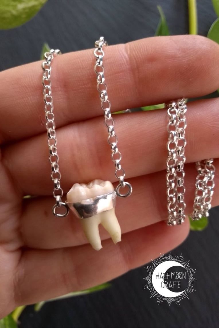 tooth necklace