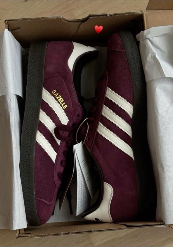 Maroon Sambas