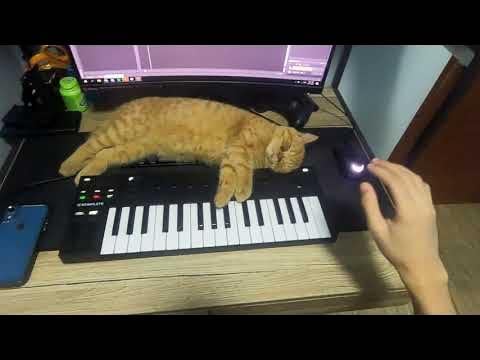 Mac DeMarco - For the First Time // Synth Cover - YouTube