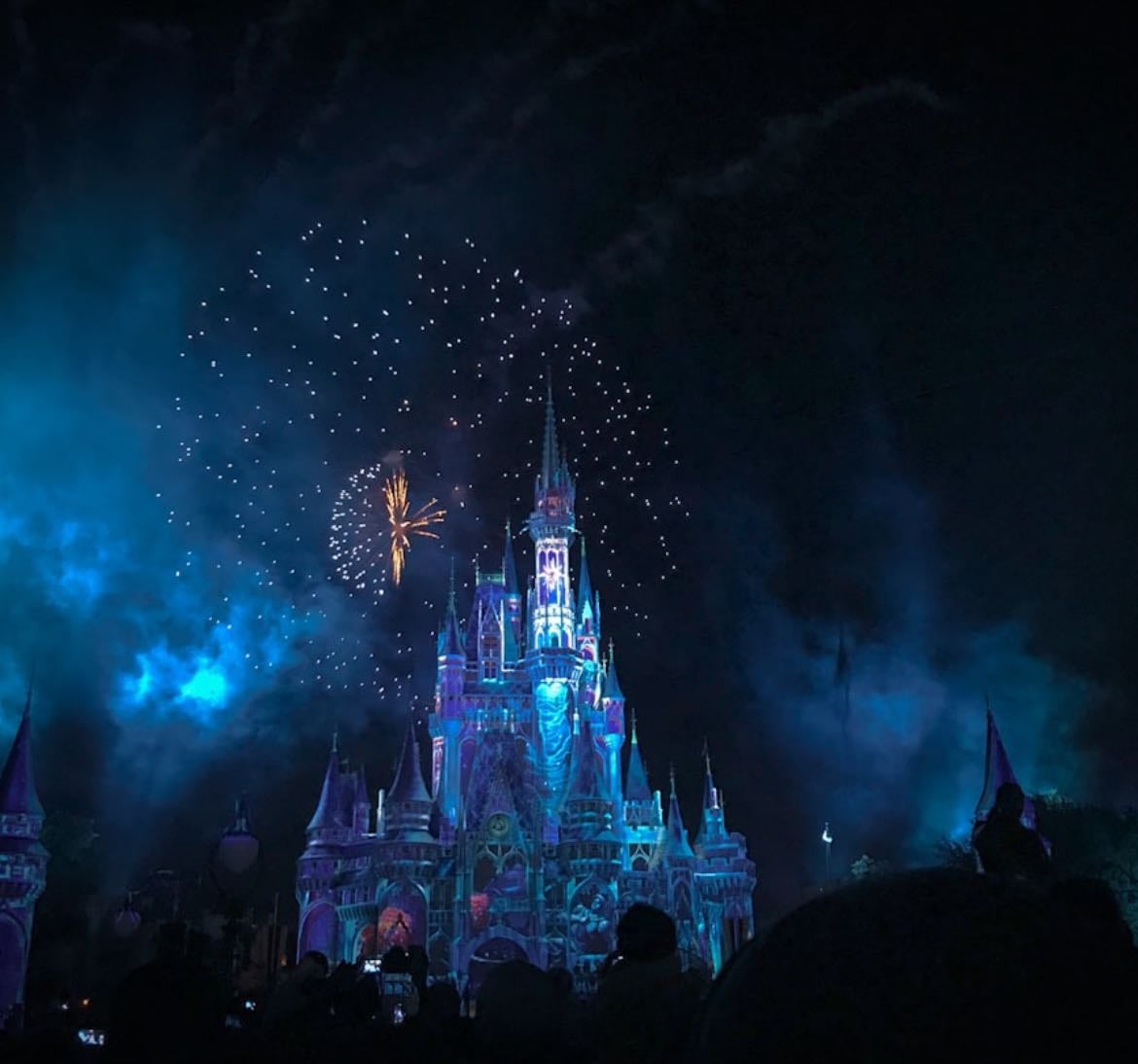 disney favs
