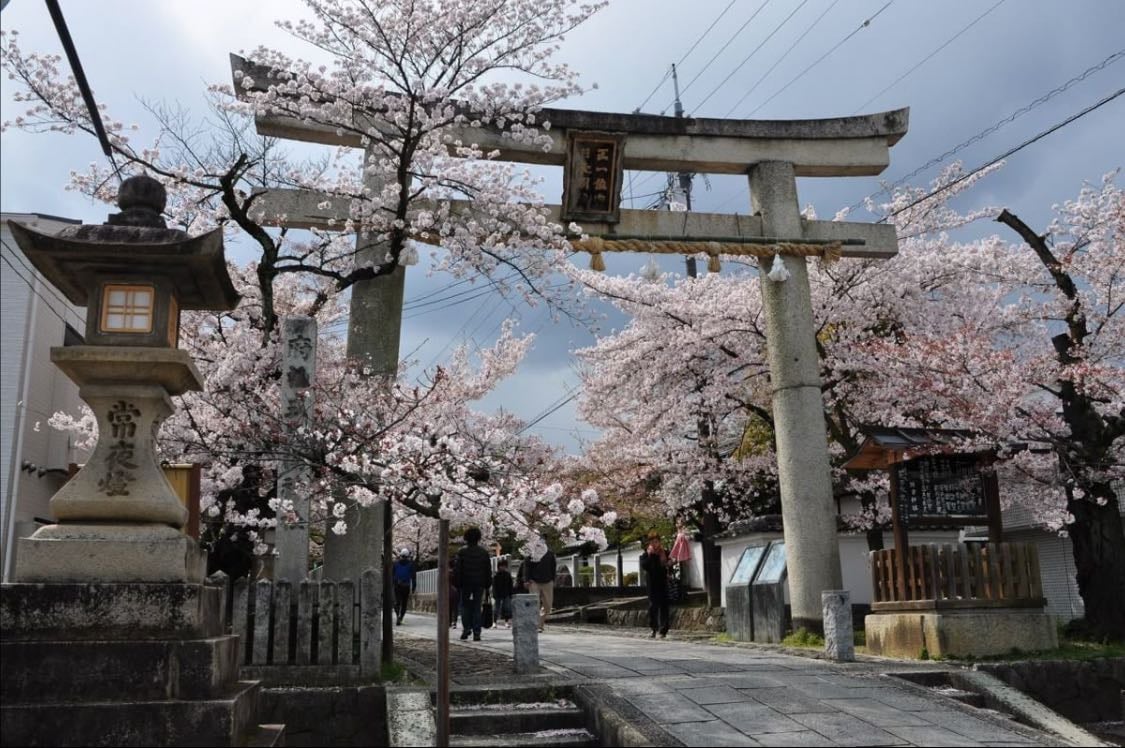 tokyo - japan