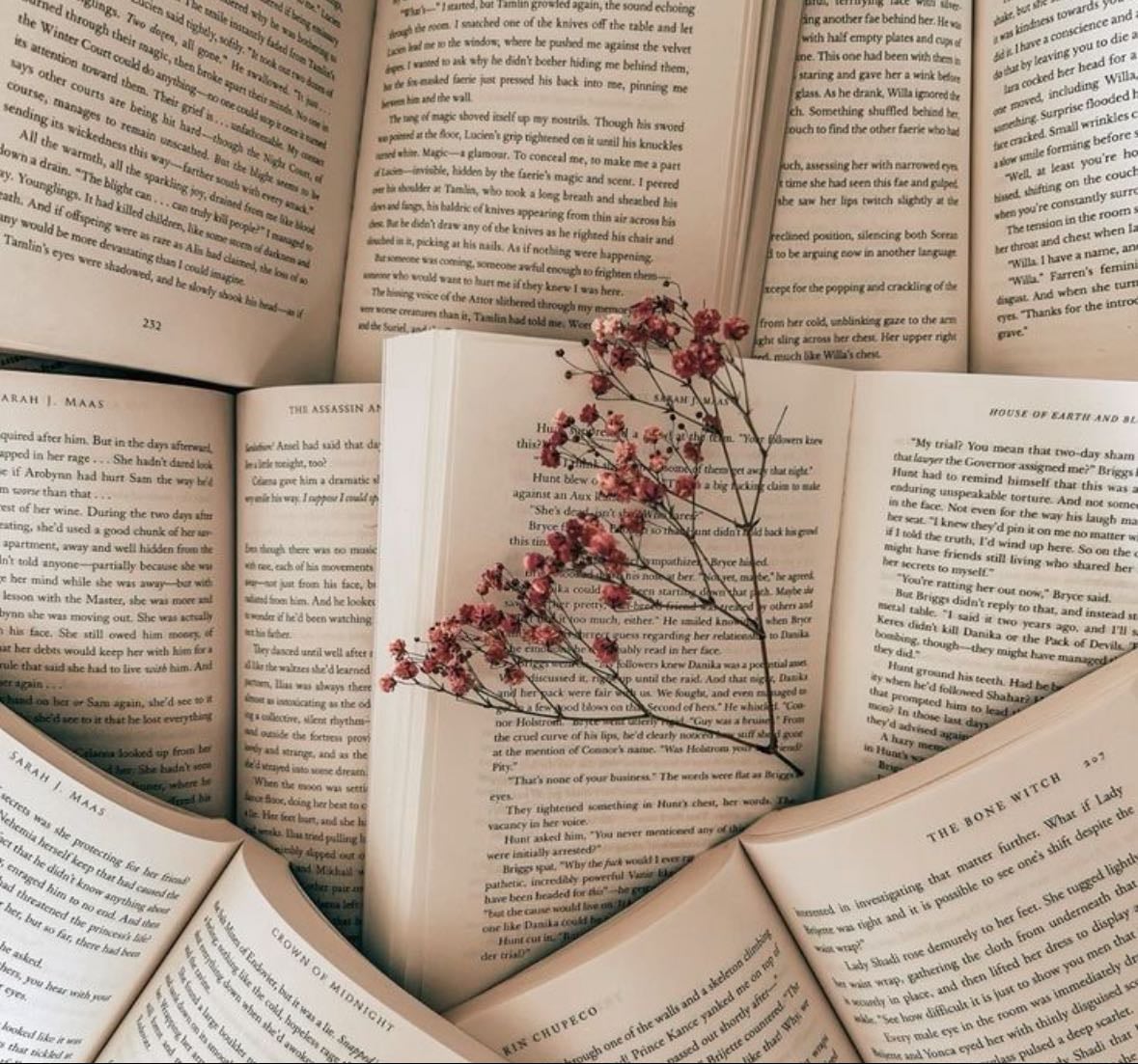 My 5 ⭐️Books! - Books hypelist by Grace Leasure