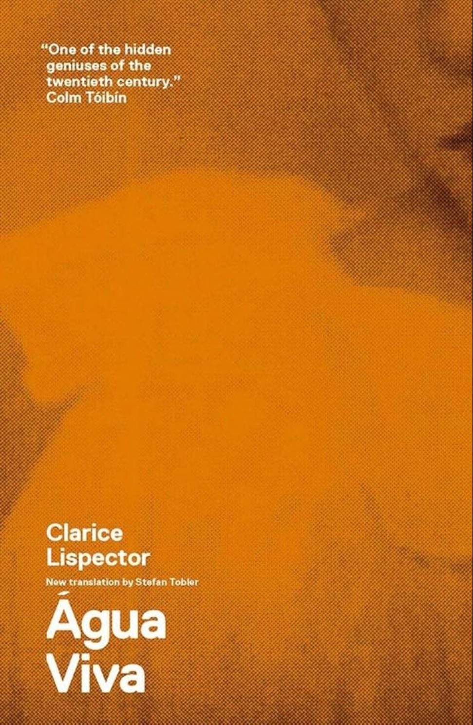 Agua Viva - Clarice Lispector · 1973