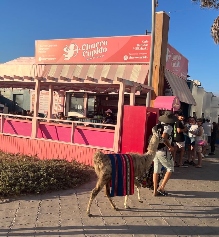 Churro Cupido - La serena