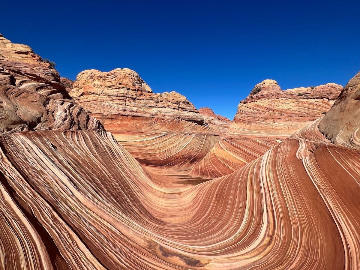 The Wave - Arizona