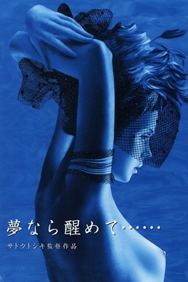 Perfect Blue - サトウトシキ · 2002