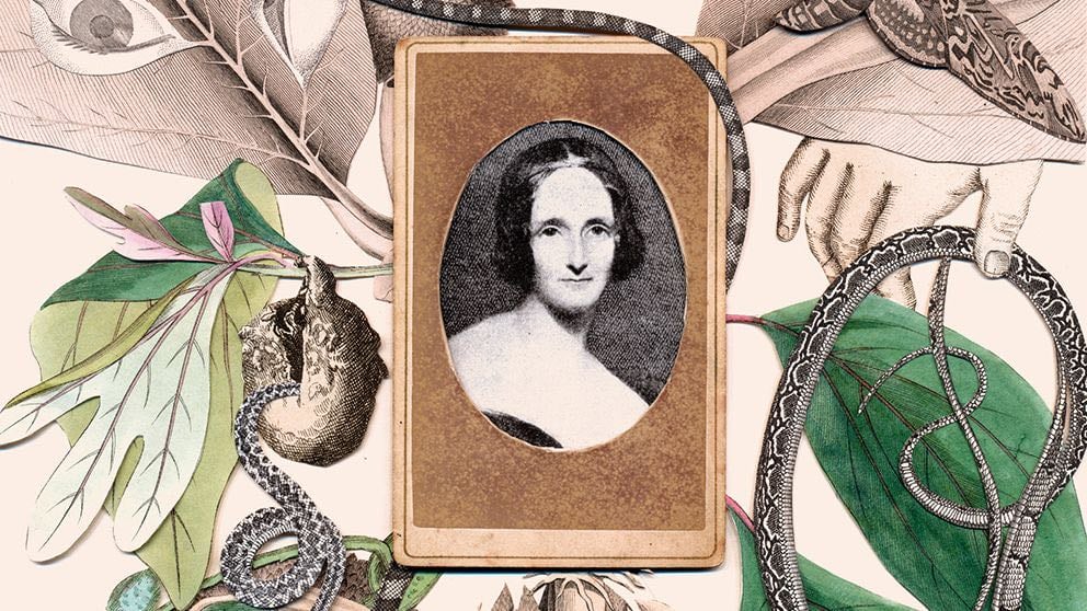 How Queer Is “Frankenstein”? - The New Yorker