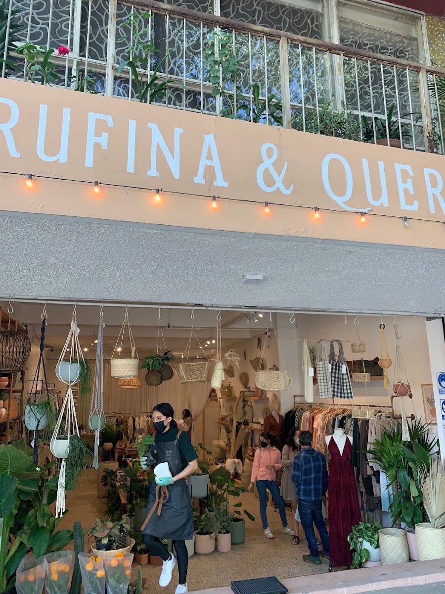 Proyecto Rufina Roma Norte