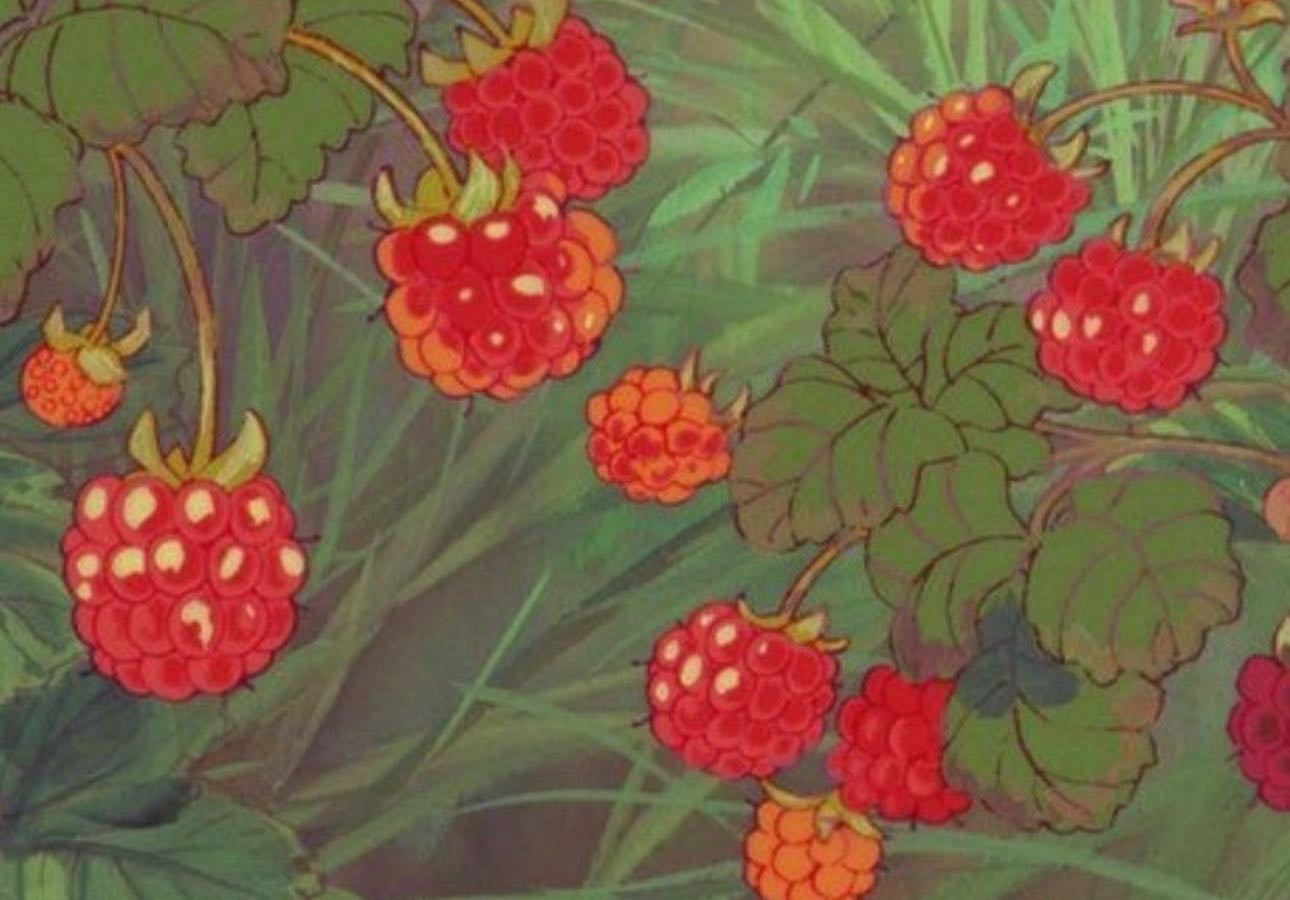 Cafeterías 🍓