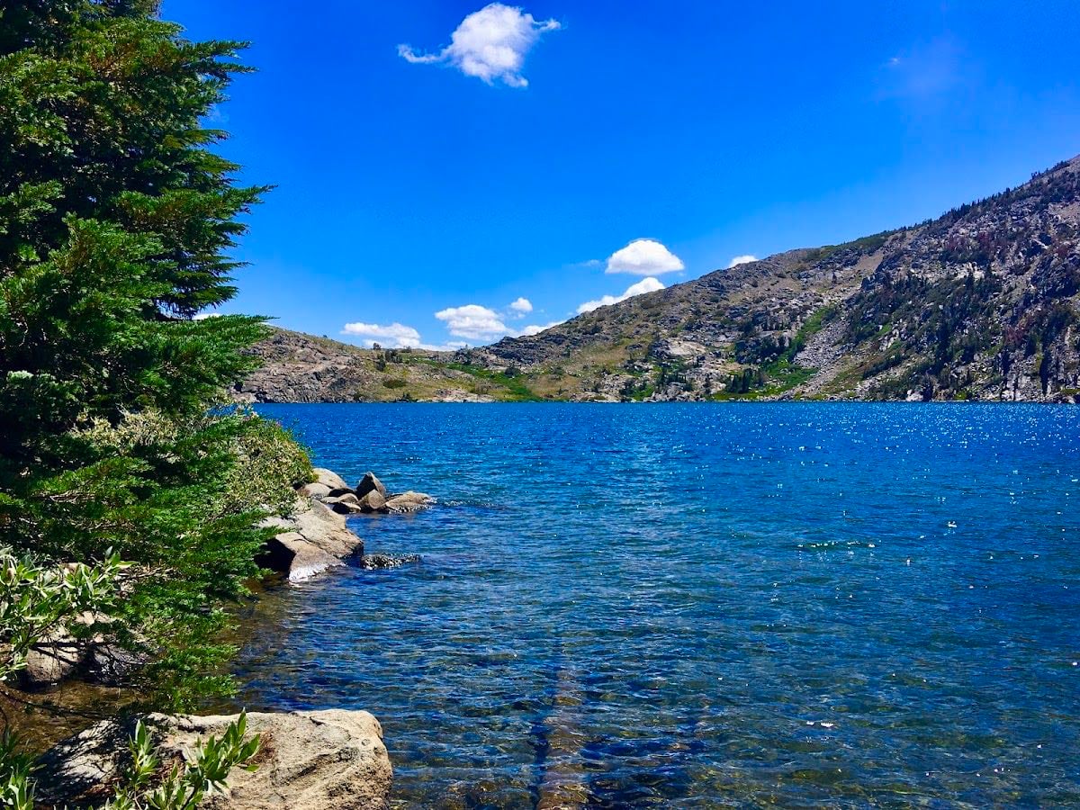 Winnemucca Lake - time it right for the best wildflowers you鈥檝e ever seen