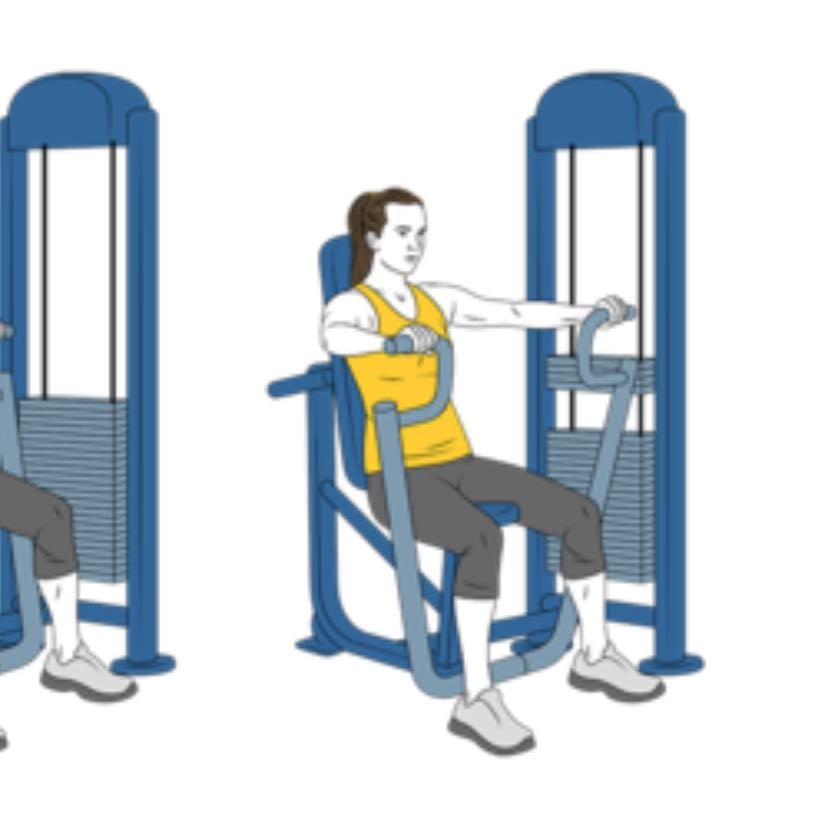 Press pectoral