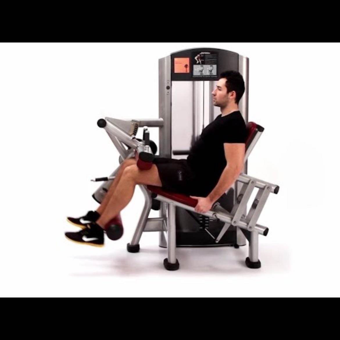 silla femoral