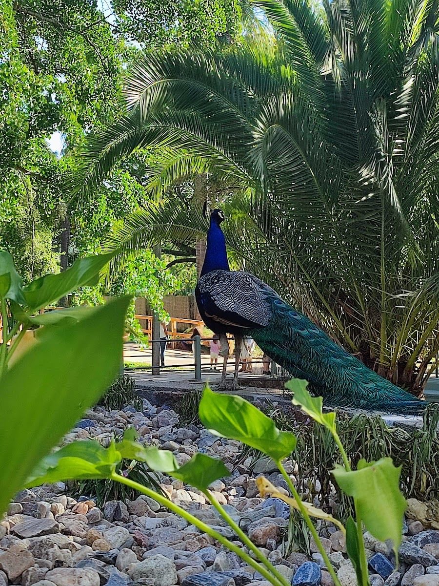 Parque Villa Dolores